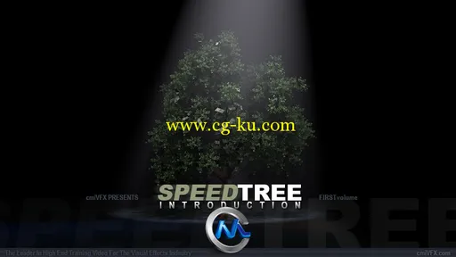 《SpeedTree树木制作入门视频教程》cmiVFX SpeedTree Introduction的图片1