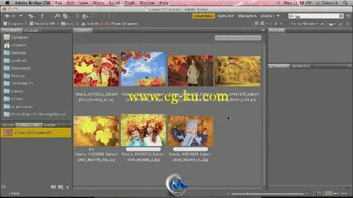 《Photoshop桥接技术视频教程》CreativeLive Photoshop Deep Dive Bridge with Les...的图片3