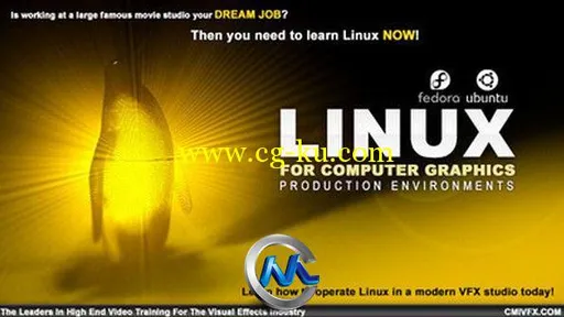 《Linux环境中制作影视特效视频教程》cmiVFX Linux For VFX And CG Production Env...的图片1