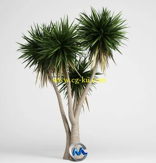 《亚热带树木灌木植物3D模型合辑》CGAxis Models Volume 15的图片2