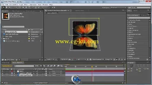 《AE制作蝴蝶动画视频教程》AETuts+ Create An Astonishing Butterfly Animation的图片3