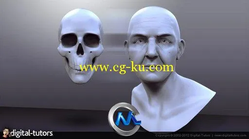 《ZBrush头部骨骼解析视频教程》Digital-Tutors Creative Development Understandi...的图片3