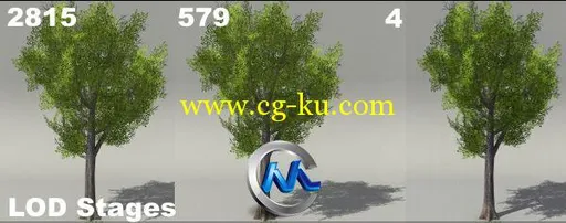 《欧式树木植物3D模型合辑》Dexsoft European Foliage and Trees 1 Model pack的图片2