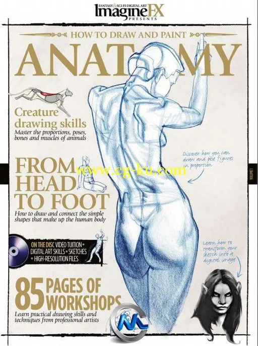 《生物解剖绘画书籍教程》ImagineFX Presents Anatomy 2010的图片1