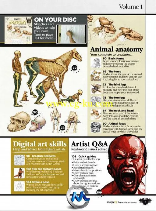 《生物解剖绘画书籍教程》ImagineFX Presents Anatomy 2010的图片2