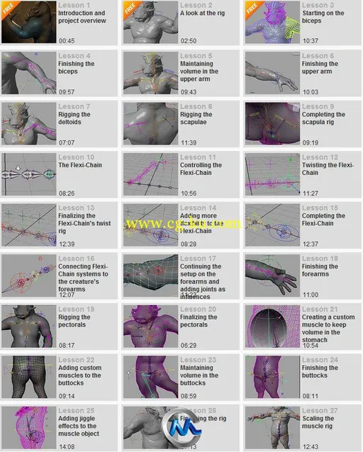 《Maya制作肌肉骨骼视频教程》Digital-Tutors Creating Custom Muscles in Maya 2013的图片2