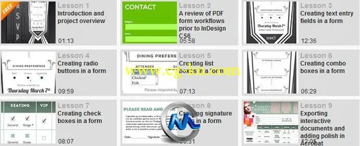 《InDesign中PDF形式设计视频教程》Digital-Tutors Creating Dynamic PDF Forms wi...的图片2