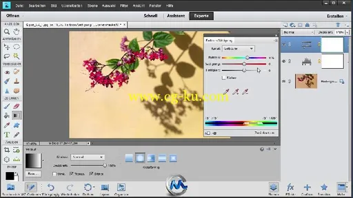 《Photoshop Elements 11 数码摄影视频教程》Galileo Design Photoshop Elements 1...的图片1