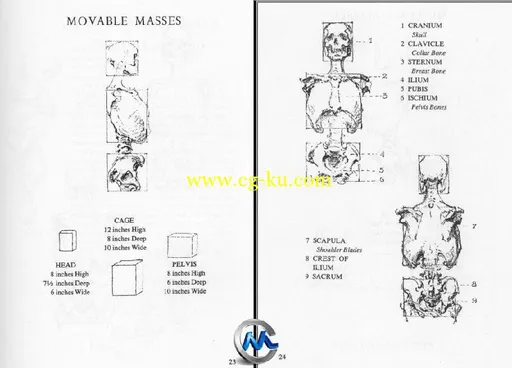 《人物解剖绘画指南书籍》Bridgman’s Complete Guide to Drawing from Life的图片2