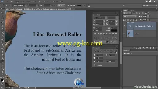 《Photoshop CS6 字符文本制作视频教程》video2brain Photoshop CS6 Text Workshop...的图片3