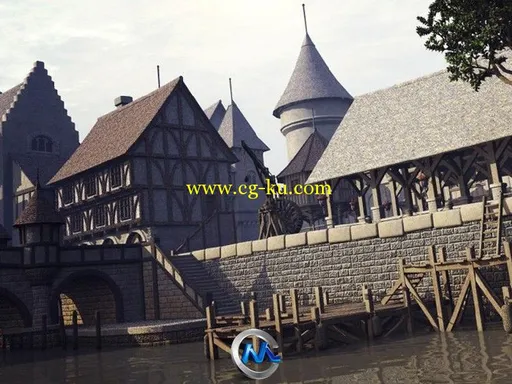 《中世纪码头模型贴图合辑》DAZ 3D Medieval Docks的图片3