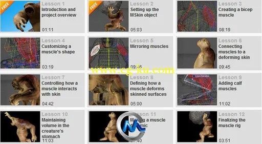 《C4D肌肉系统视频教程》Digital-Tutors Utilizing the Muscle System in CINEMA 4D的图片2