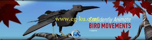 《Maya制作小鸟动画技术视频教程》Digital-Tutors Maya Animation Reference Libra...的图片1