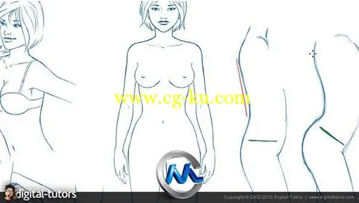 《Photoshop女性解剖结构绘画视频教程》Digital-Tutors Drawing Female Proportion...的图片3