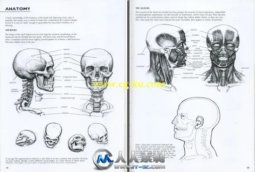 《人像肖像绘画书籍》Drawing Portraits Faces and Figures Art of Drawing By Gio...的图片3