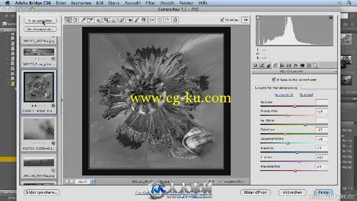 《PS高效制作视频教程》video2brain High-speed Photoshop Spanish的图片3