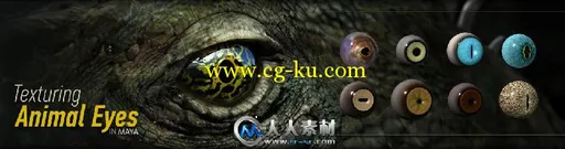 《Maya动物眼睛纹理制作视频教程》Digital-Tutors Texturing Animal Eyes in Maya的图片1