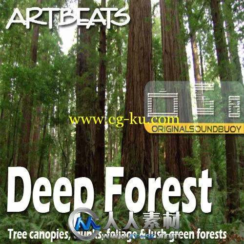 《森林绿树植物高清实拍视频素材合辑》Artbeats Deep Forest HD的图片1