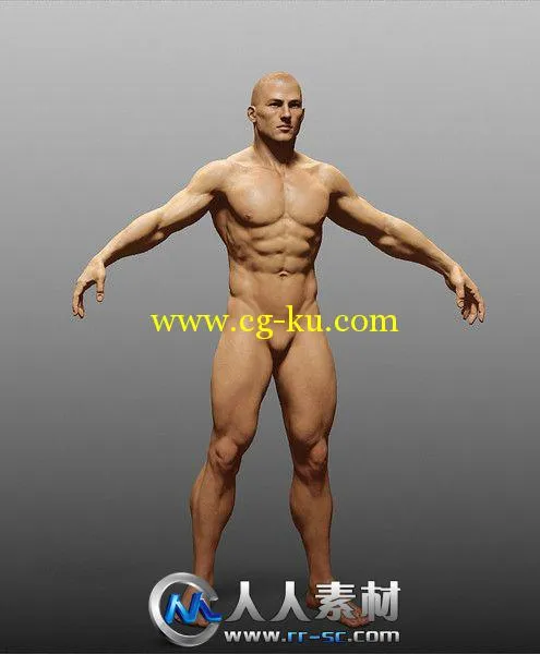 《人类人体3D模型合辑》Turbosquid Human Zbuilder的图片4