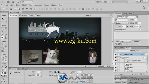 《AdobeCS6套装设计工作流程视频教程》Total Training Adobe CS6 Design And Web W...的图片2