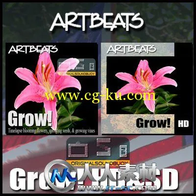 《花朵生长过程高清实拍视频素材合辑》Artbeats Grow 2 HD的图片1