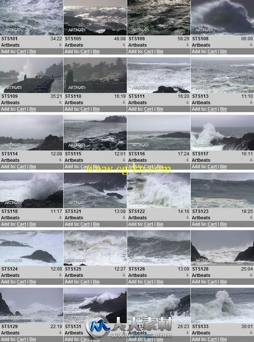 《海浪风暴高清实拍视频素材合辑》Artbeats Storm Surf HD的图片2