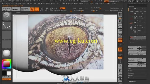 《ZBrush与KeyShot恐龙渲染视频教程》Digital-Tutors Rendering Organic Models in...的图片2