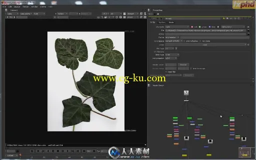 《SpeedTree三维植物环境绘景视频教程》FXPHD PNT205 3D Plants and Digital Envir...的图片3