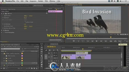 《Premiere功能增强视频教程》Lynda.com Premiere Pro Technology Preview的图片2