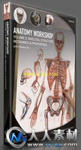 《人体结构与比率手绘绘画视频教程第三季》The Gnomon Workshop Anatomy Workshop ...的图片4