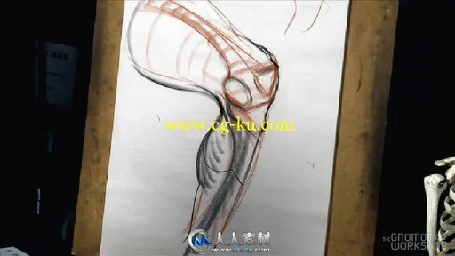 《人体结构与比率手绘绘画视频教程第三季》The Gnomon Workshop Anatomy Workshop ...的图片5