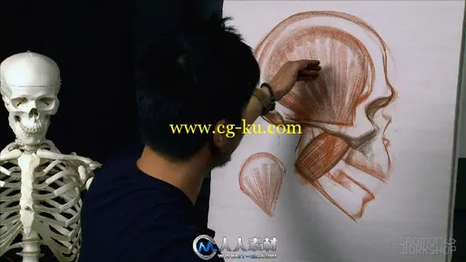 《人体结构与比率手绘绘画视频教程第四季》The Gnomon Workshop Anatomy Workshop ...的图片5