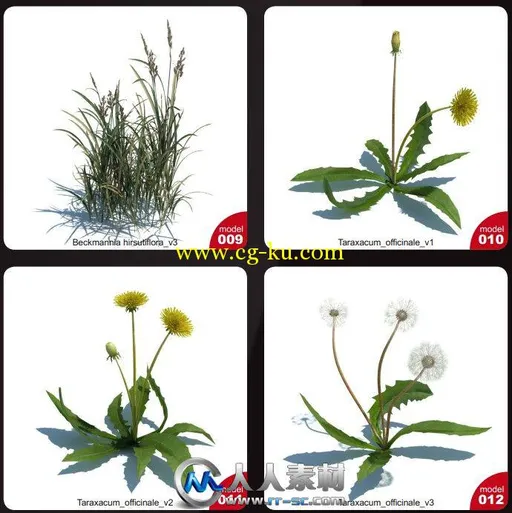 《草木植物3D模型合辑》Evermotion Archmodels Vol.124的图片3