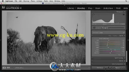 《Lightroom与PS色彩模式视频教程》Lynda.com Black and White with Lightroom and...的图片3