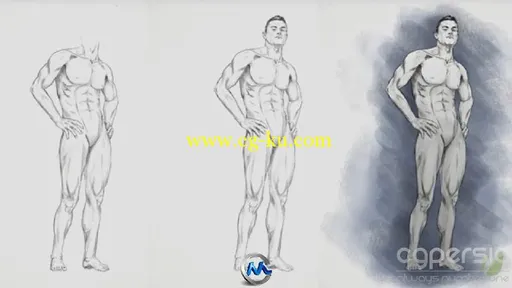 PS数字人体绘画艺术视频教程 Tuts+ Premium Introduction to Digital Figure Drawing的图片5