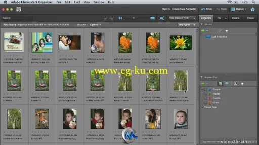 Photoshop Elements 9图像特效合成视频教程 video2brain Combining Images with Ph...的图片1