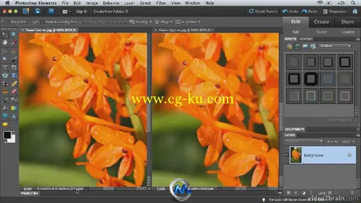 Photoshop Elements 9图像特效合成视频教程 video2brain Combining Images with Ph...的图片2