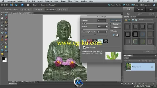 Photoshop Elements 9图像特效合成视频教程 video2brain Combining Images with Ph...的图片3