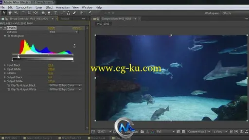 AfterEffectsCS6深入训练视频教程 Total Training Adobe After Effects CS6 Introd...的图片1