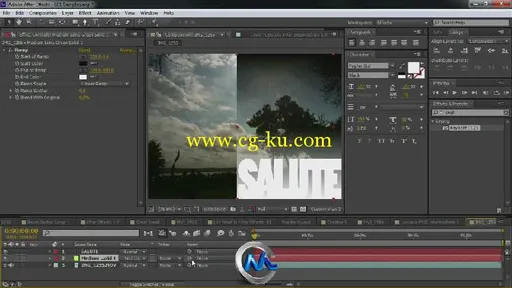 AfterEffectsCS6深入训练视频教程 Total Training Adobe After Effects CS6 Introd...的图片4