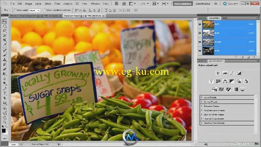 Photoshop黑白配色训练视频教程 video2brain Photoshop Black-and-White Workshop ...的图片1