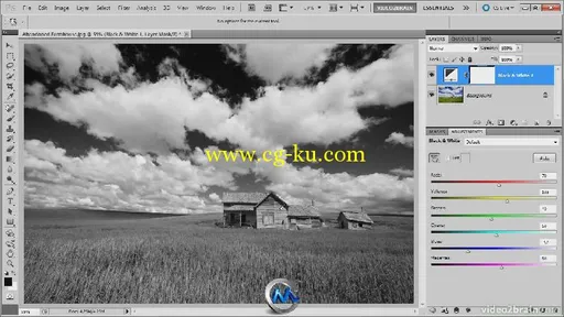 Photoshop黑白配色训练视频教程 video2brain Photoshop Black-and-White Workshop ...的图片3