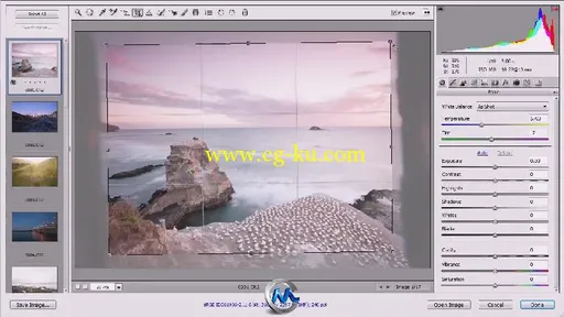 Photoshop中CameraRaw数字暗房技术视频教程 Digital-Tutors Camera Raw Digital Da...的图片1