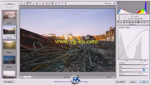 Photoshop中CameraRaw数字暗房技术视频教程 Digital-Tutors Camera Raw Digital Da...的图片3