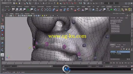 Maya角色面部制作视频教程 Digital-Tutors Joint-Based Facial Rigging in Maya的图片2