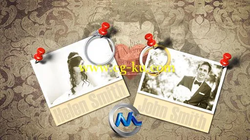 老式婚礼AE模板 VideoHive Wedding Photo Album 4054869 Project for After Effects的图片1