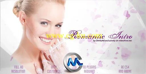 浪漫新娘AE模板 VideoHive Romantic Intro 2372826 Project for After Effects的图片1