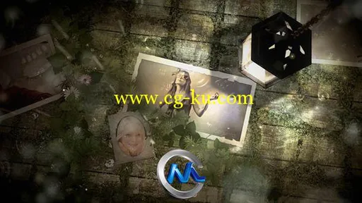 光照相馆AE模板 VideoHive Light Photo Gallery 4272495 Project for After Effects的图片1