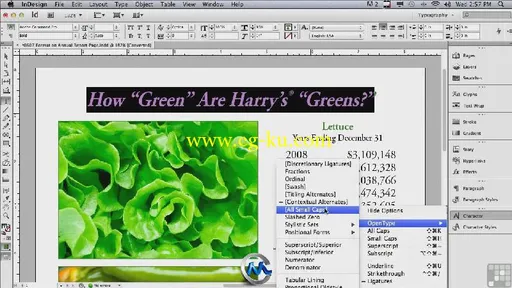 InDesignCS6基础训练视频教程 Infiniteskills Learning Adobe InDesign CS6 Traini...的图片1