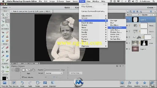 Photoshop Elements 11综合训练视频教程 Infiniteskills Learning Adobe Photosho...的图片2